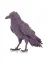 Rosa3D Filament PLA-CF Matt 1.75, 1kg, ReFill | Grape Violet