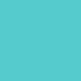 Arctic Teal