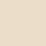 Beige - Ivory Beige