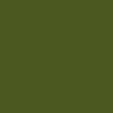 Army Dark Green