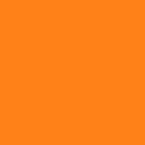 Orange - Lion Orange