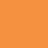 Orange - Carrot Orange